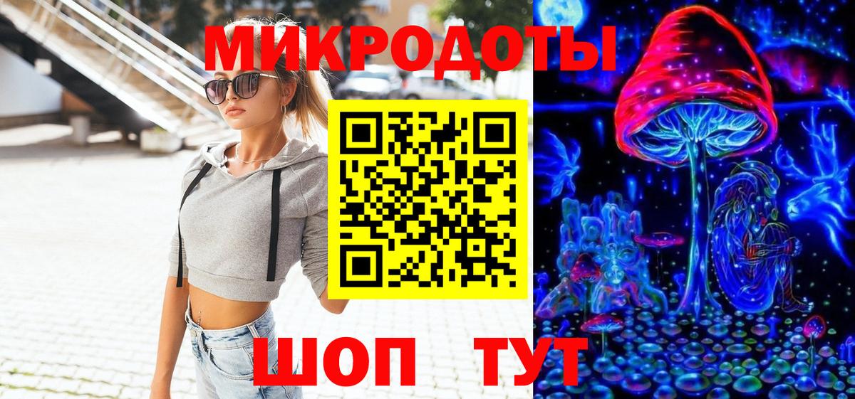 Псилоцибиновые грибы Psilocybine cubensis Кирово-Чепецк